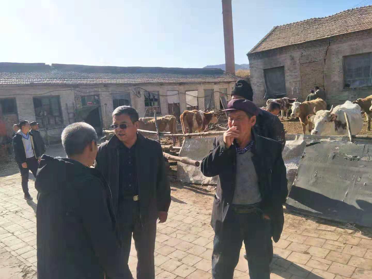 冰球突破-冰球电游豪华版_MG冰球游戏