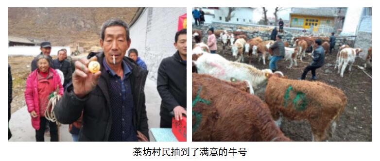 冰球突破-冰球电游豪华版_MG冰球游戏