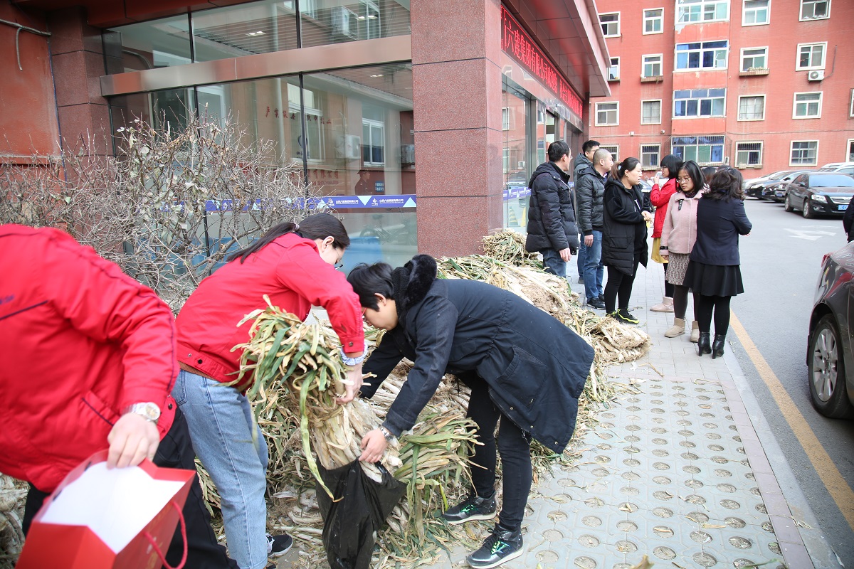 冰球突破-冰球电游豪华版_MG冰球游戏